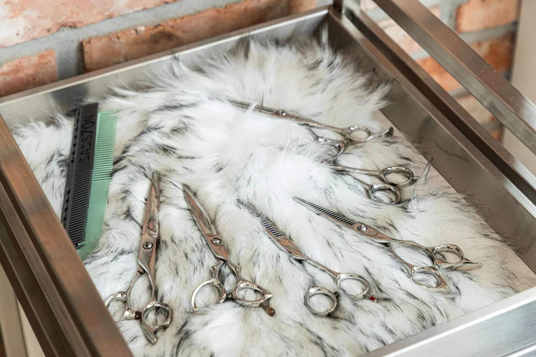 Hairdressing scissors laid out on white fur